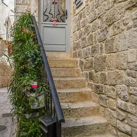 House Morski Brk * Τρογκίρ